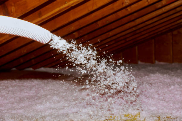 Best Insulation Inspection Services  in Bladenboro, NC