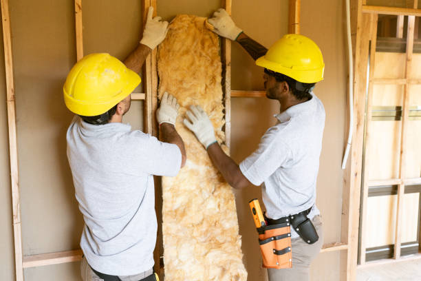Best Cellulose Insulation  in Bladenboro, NC